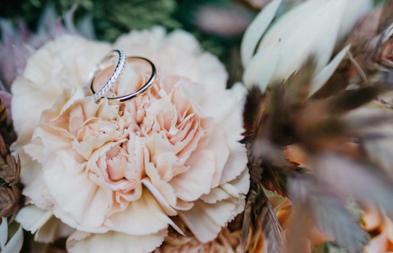 Elit duis tristique sollicitudin nibh sit amet.